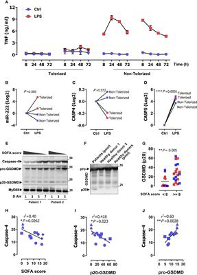 The non-canonical inflammasome activators Caspase-4 and Caspase-5 are differentially regulated during immunosuppression-associated organ damage